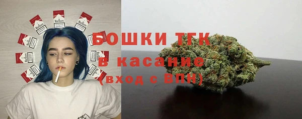 эйфоретик Фёдоровский